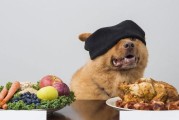 保障宠物狗狗健康的重要措施（从饮食到运动，全方位守护您的宠物狗健康）