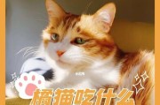 能否喂猫粮给狗狗吃？
