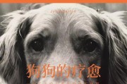 预防狗狗生病，让爱宠更健康（以宠物为主，从细节抓起，预防胜于治疗）