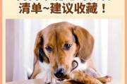 小心！狗咬到的水果禁忌（了解这15种水果，保护你的爱犬）