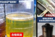 狗狗尿素高的原因及解决方法（了解为什么狗狗尿素高，帮助你保持宠物的健康）