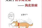 狗狗皮肤病常见情况解析（探究导致狗狗皮肤病的原因和预防措施）