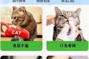 猫草的益处（了解猫草对猫咪的益处以及它们的食用习惯）