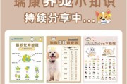 日本推出「猫咪剪指甲头套」（创新产品让猫咪指甲修剪变得更加简单和安全）
