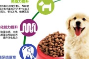 小狗刚生下来的饮食需求（了解小狗饮食，关爱它们的健康成长）
