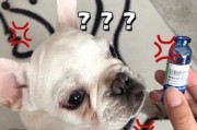 以法斗不立耳补的原因和功效（为什么法斗不立耳补对法斗犬非常重要及其益处）