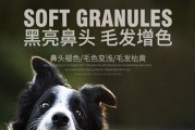以萨摩毛发黄怎么办？找到合适的药物是关键（有效药物帮助萨摩毛发恢复光泽与颜色，提升宠物健康）