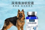 牧羊犬的饮食需求与选择（了解牧羊犬的饮食需要，健康养护从饮食开始）