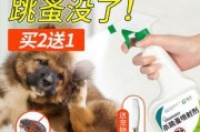 驱虫后，为什么狗狗还能看到跳蚤？（探究狗狗驱虫后为什么还有跳蚤，如何有效防治？）
