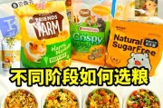 仓鼠的日常饮食需求（科学饲养仓鼠，健康成长）