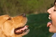为什么狗狗不孕不育？（探究导致狗狗不孕不育的原因）