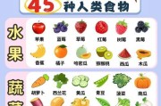 狗狗咳嗽时应吃哪些食物？（帮助狗狗缓解咳嗽的健康食物推荐）