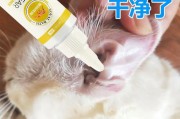 治疗耳螨的最佳药物选择（选用何种药物最有效治疗耳螨？如何选择合适的治疗方案？）
