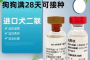 探索最适合狗狗的药品牌子（寻找狗狗药品的最佳选择）