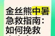 夏季怎样帮助仓鼠降温？（防止仓鼠中暑的有效措施）
