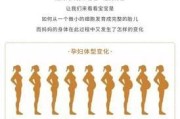 探讨以史宾格怀孕的特征（揭秘宠物母犬怀孕的迹象与注意事项）