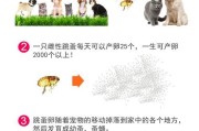 柴犬的驱虫频率及注意事项（柴犬驱虫周期、驱虫药物选择和养犬人应注意的问题）