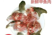 打造健康的中华鳖宠物（打造健康的中华鳖宠物）