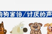 狗狗为什么怕喇叭声？（探究狗狗对喇叭声的恐惧原因及应对方法）