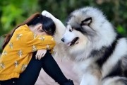 大狗爱叫（了解为什么大狗喜欢叫并找到解决之道）