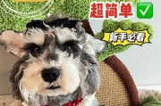 金毛宠物驱虫全攻略（让宠物健康快乐，从定期驱虫开始）