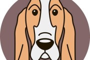 巴吉度猎犬饲养指南（如何养护一只健康的猎犬）