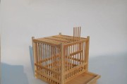 笼子里能养什么？（探索笼养动物的可能性）