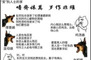 金毛犬为何会咬人？（探究金毛犬咬人的原因及预防方法）