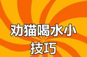 猫咪饮水问题揭秘（猫咪不喝水的原因及应对方法）