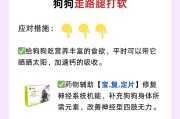 狗的神经类型和行为特征（以宠物狗为主的神经科学研究）