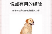 拉布拉多母犬为何不长个？（探究拉布拉多母犬的生长特点及原因）