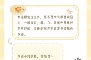挑选泰迪犬，了解价格与注意事项（探寻泰迪犬价格，为你的家庭选择合适的宠物伴侣）