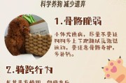 泰迪犬的高遗弃率及其缺点（为什么泰迪犬容易被遗弃？是否有不可接受的缺点？）