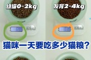 为什么猫长不胖呢？（揭秘猫咪瘦身之谜）