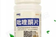 宠物猫的健康是你的责任！（以乳酶生片猫咪可以天天吃吗？—解析猫咪肠道消化问题）
