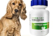 狗狗营养全方位补充（宠物的健康离不开这些关键营养）