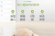 狗狗吃骨头是否能够补钙？（骨头的含量及补钙效果分析）