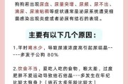 狗狗喝水尿量增多，肾脏问题疑虑？（了解狗狗多喝水与肾脏健康的关系）