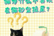 为什么猫会选择在窝里拉屎？（探究猫咪如厕偏好的原因及相关解决方法）