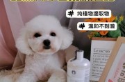 《以比熊为例，洗澡的好处》（探究比熊常洗澡的益处，让宠物更健康）