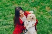 如何防止以西施犬掉毛？（宠物养护技巧分享，告别毛发困扰）