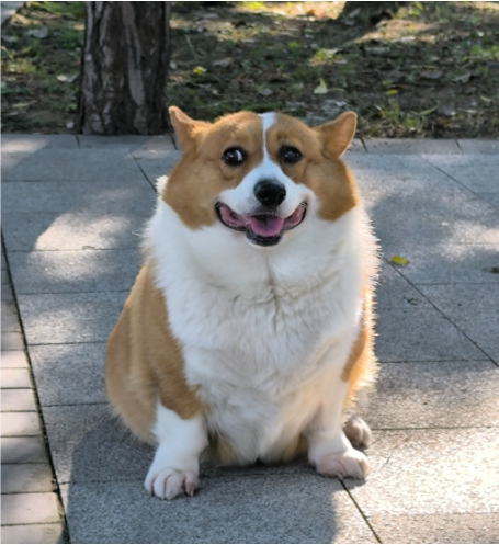 8.png 8.png